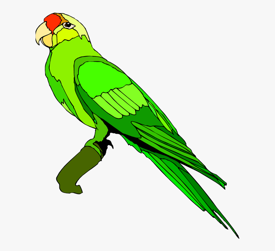 Clip Art Parrot - Green Parrot Clipart, Transparent Clipart