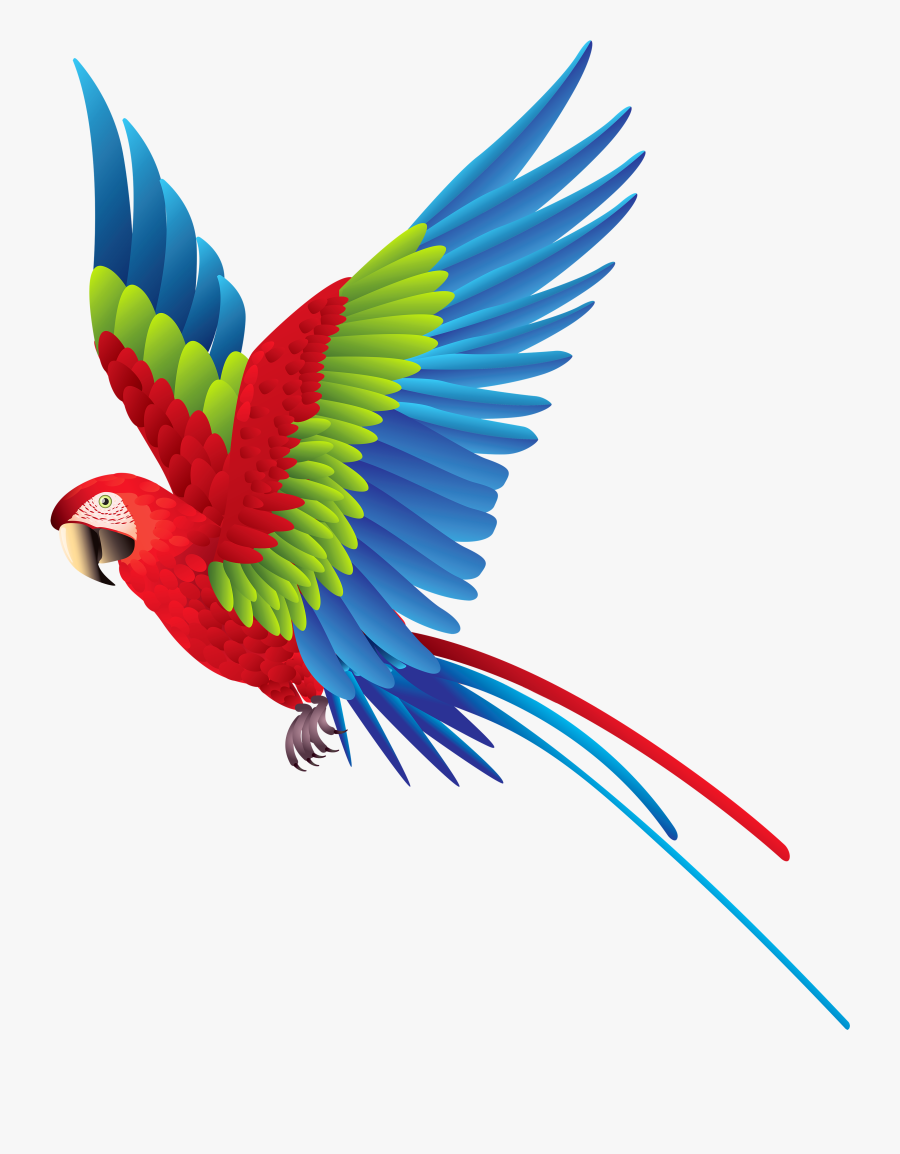 Colourful Parrot Png Clipart - Colorful Flying Birds Png, Transparent Clipart