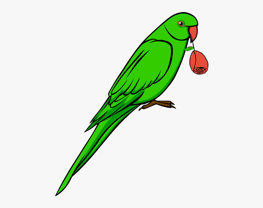 Clip Art Love Bird Parrot Symbol Symbolic Feelings - Green Transparent Parrot Clipart, Transparent Clipart
