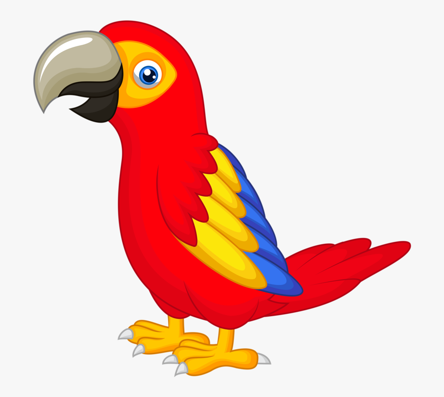 Drawing With Colour At - Clipart Parrot, Transparent Clipart