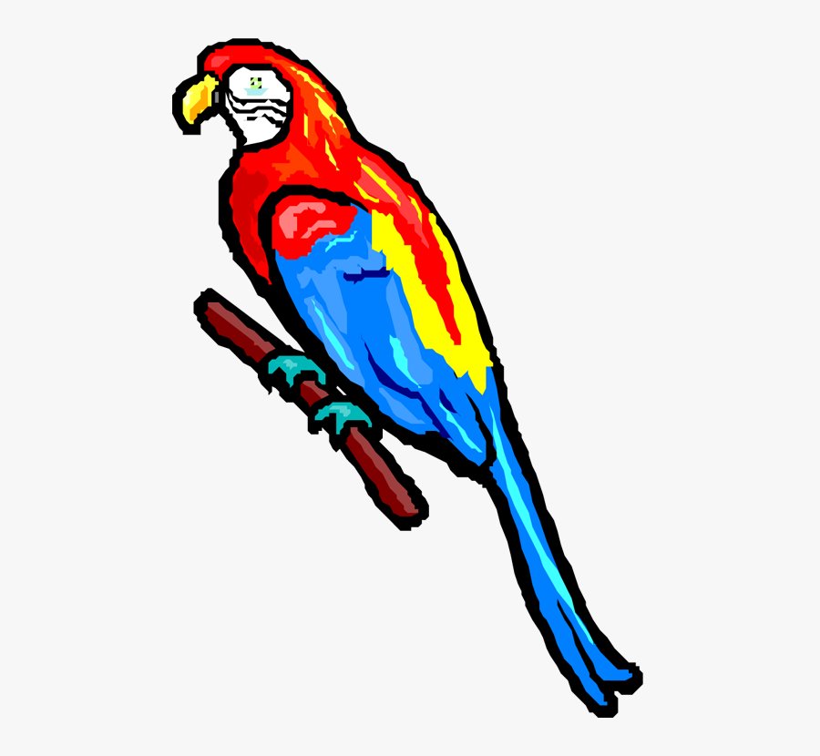 Jimmy Buffett Parrot, Transparent Clipart