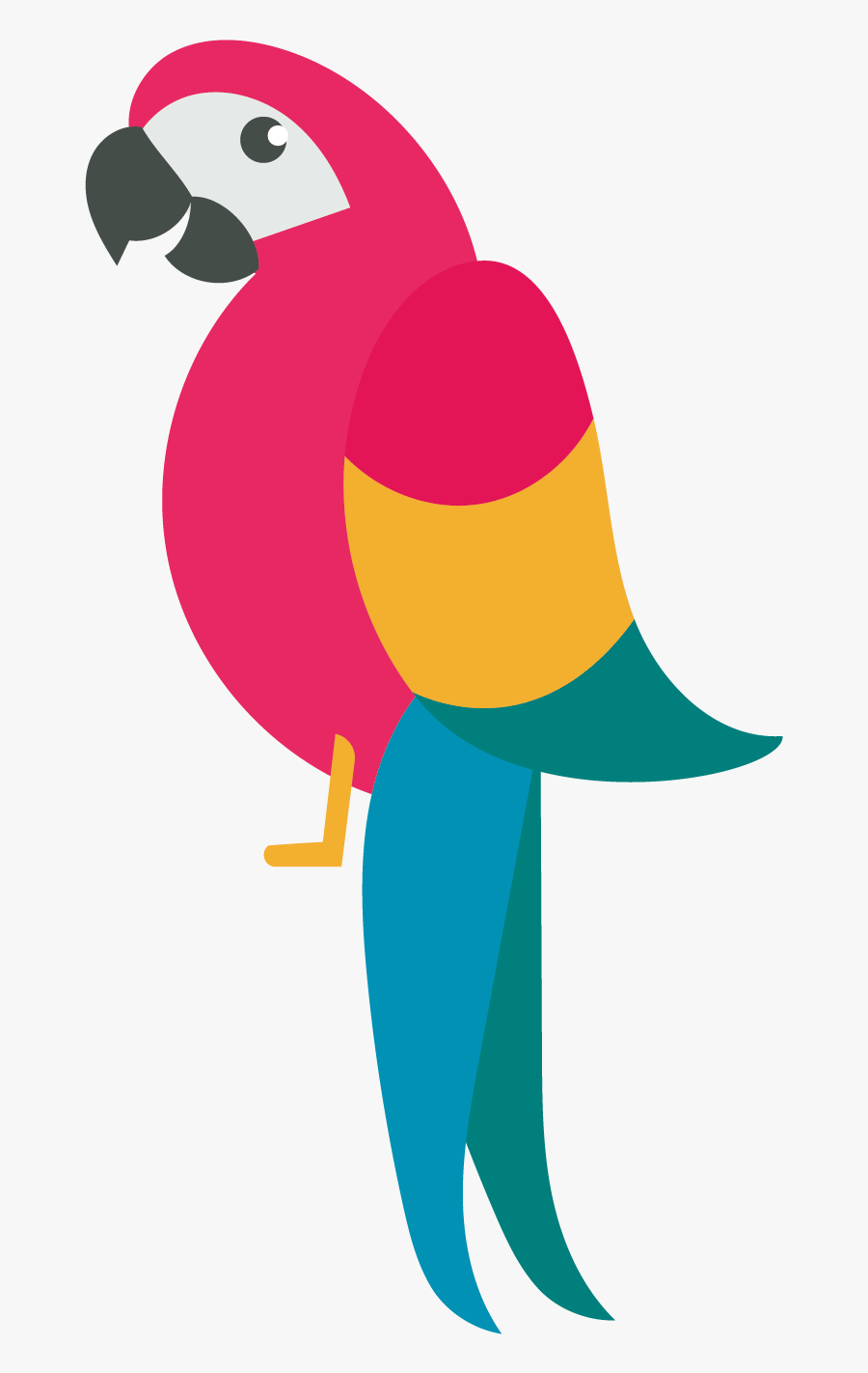 Parrot Drawing - Parrot Drawing Cute, Transparent Clipart