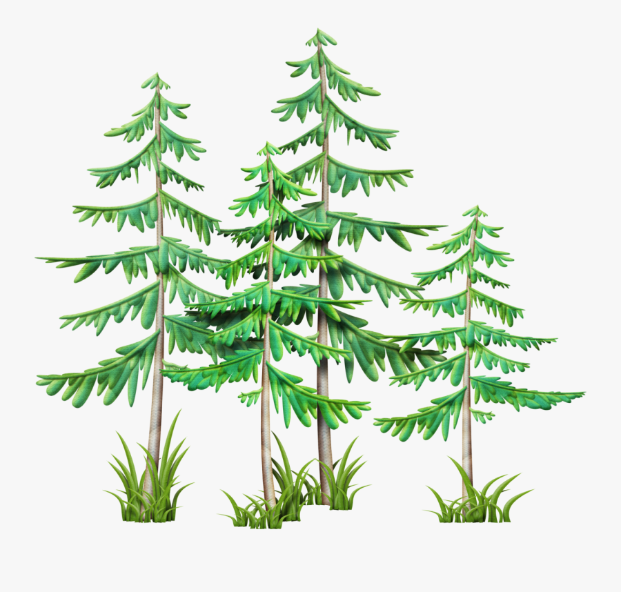 Clip Art, Camping Stuff, Branches, Pine, Mountain, - Clipart Of Pine Branches, Transparent Clipart