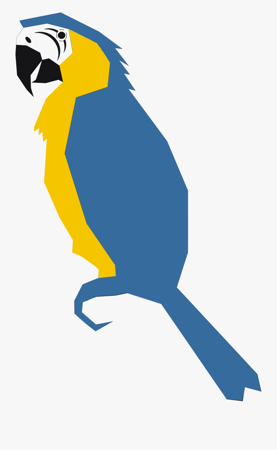 Perching Bird,macaw,parrot - Parrot Graphic, Transparent Clipart