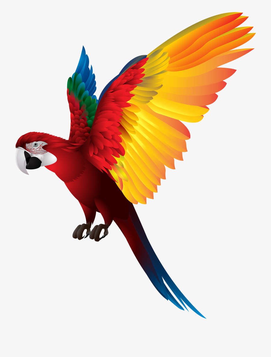 Largest Collection Of Free - Colorful Flying Birds Png, Transparent Clipart