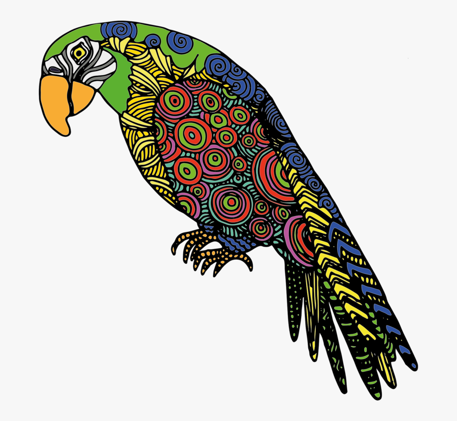 Bird Of Prey,macaw,parrot - Drawing A Colourful Parrot, Transparent Clipart