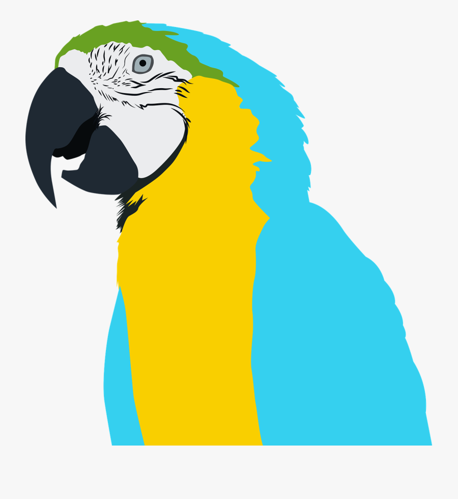 Bird,free - Parrot - Pico Animal Png, Transparent Clipart