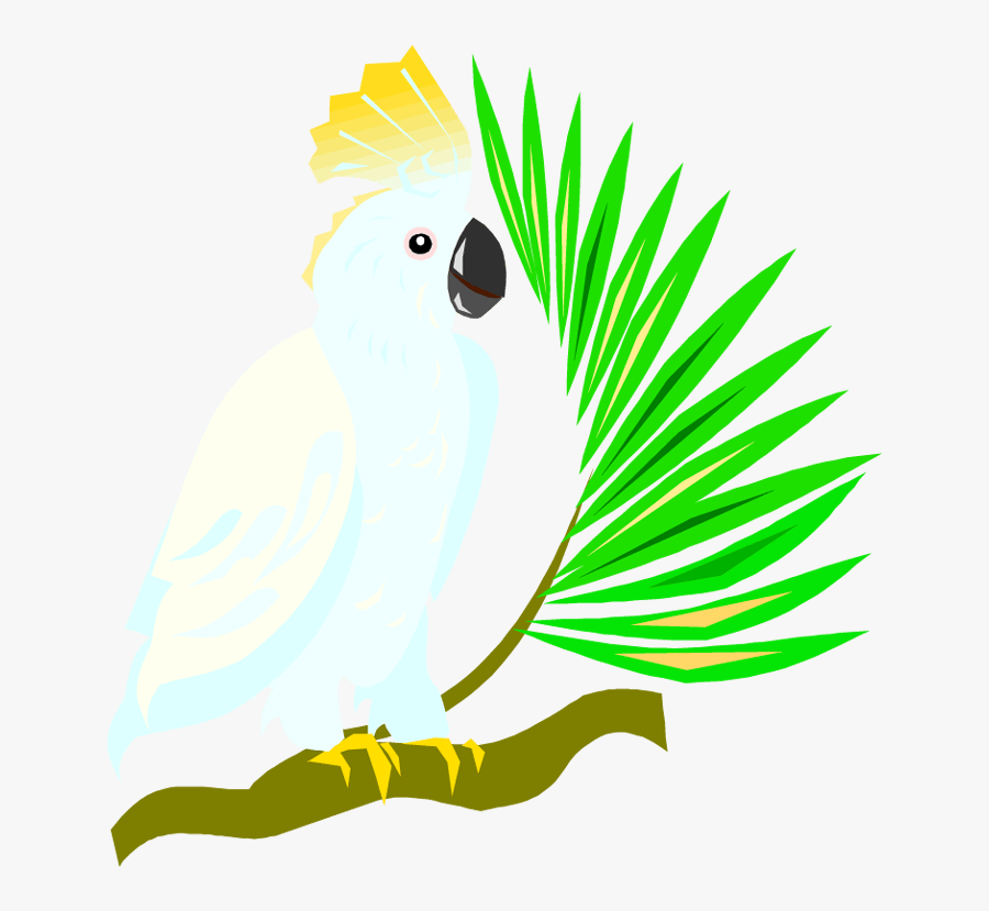Transparent Parrot Png - Cockatoo Clipart Png, Transparent Clipart