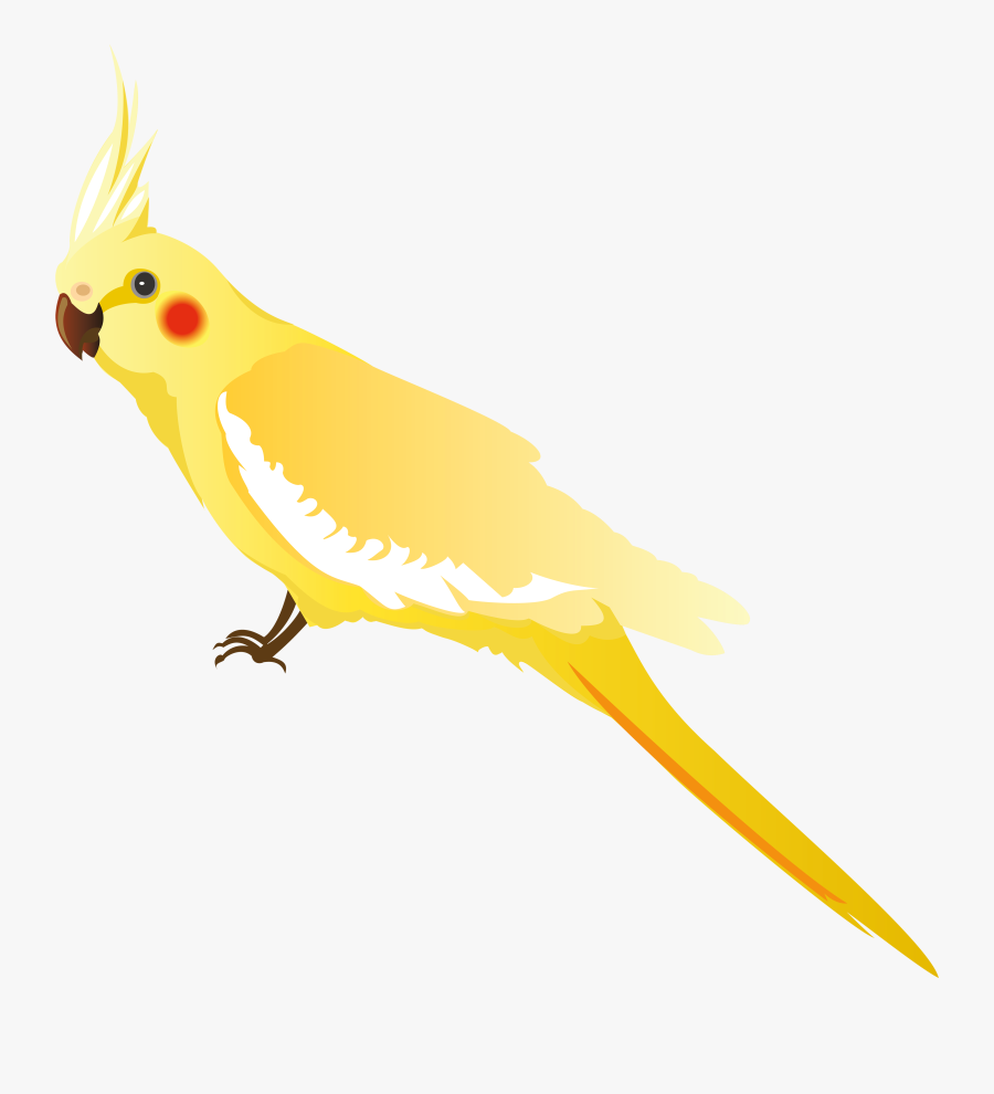Yellow Parrot Png Clipart - Png Transparent Yellow Parrot, Transparent Clipart