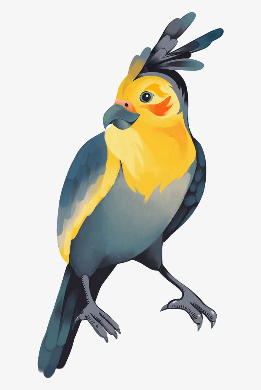 Macaw, Transparent Clipart