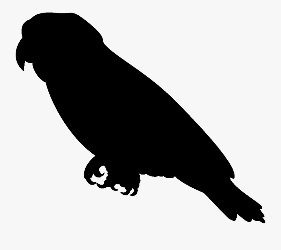 Parrot Clipart Silhouette Pencil And In Color Parrot - African Grey Parrot Silhouette, Transparent Clipart