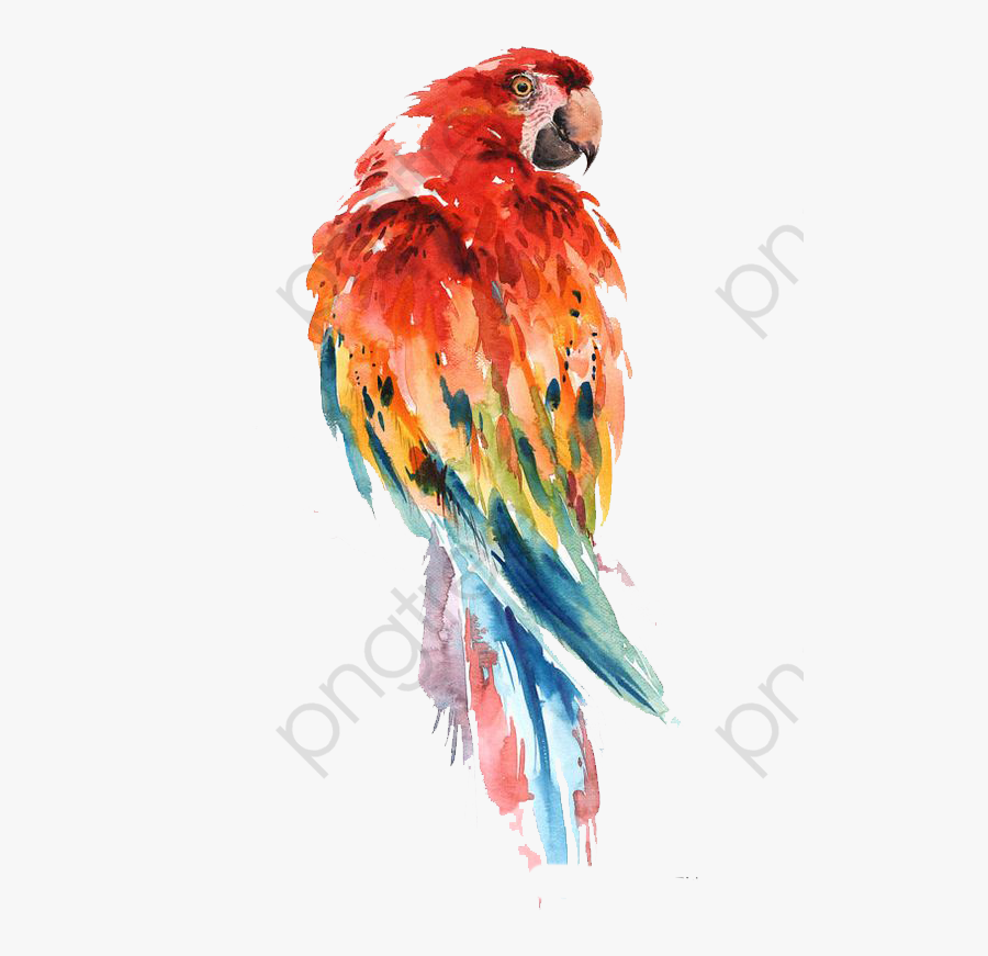 Parrot Clipart Abstract - Watercolour Macaw Art, Transparent Clipart