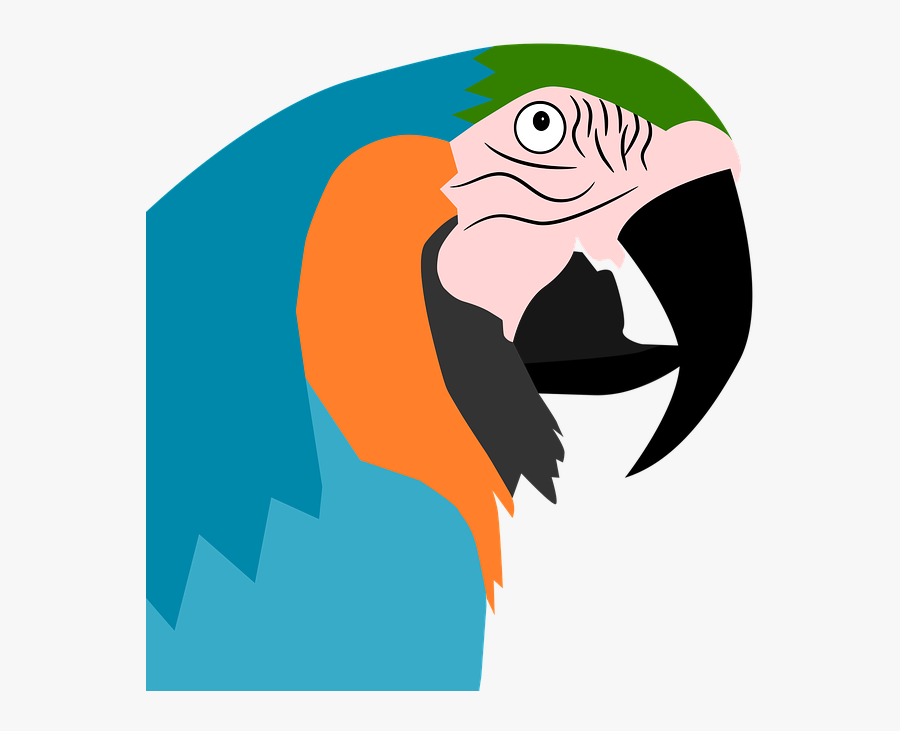 Parrot Clipart Wild Bird - Illustration, Transparent Clipart