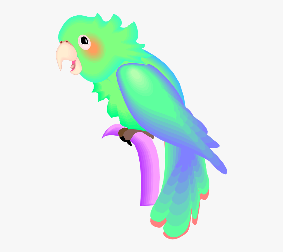 Parakeet, Transparent Clipart