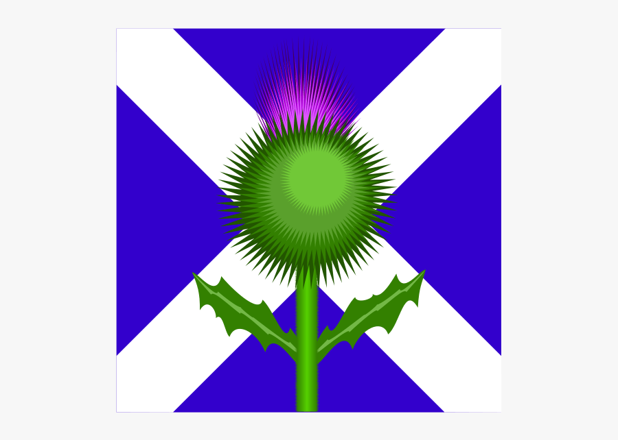 Scottish Thistle And Flag - Scottish Flag With Thistle, Transparent Clipart