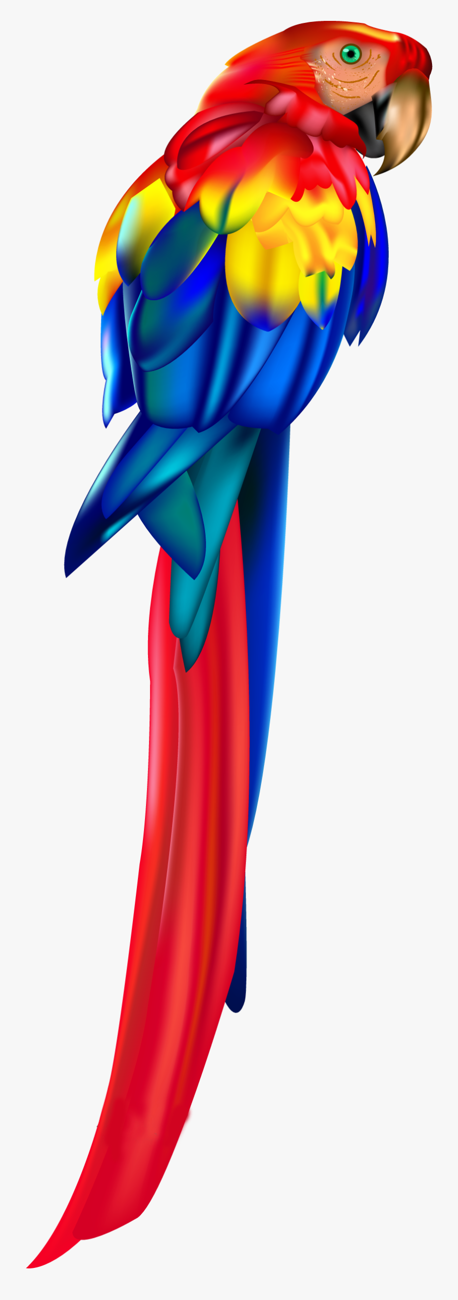 Red Parrot Png Clipart - Parrot Png Blue And Red, Transparent Clipart