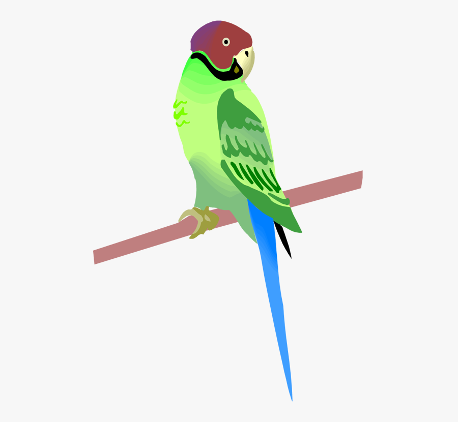 Parrot Clipart, Transparent Clipart