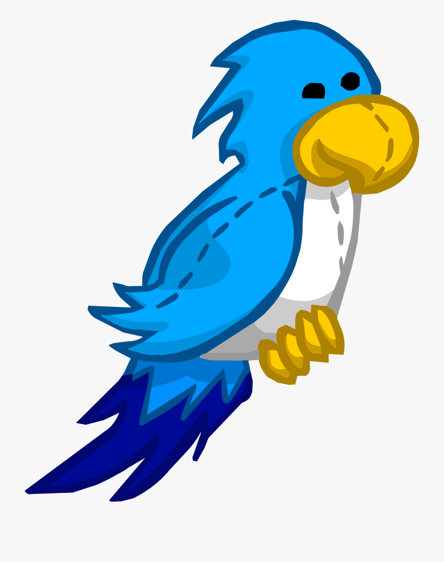 Parrot Clipart Blue Parrot - Captain Rockhopper Club Penguin, Transparent Clipart