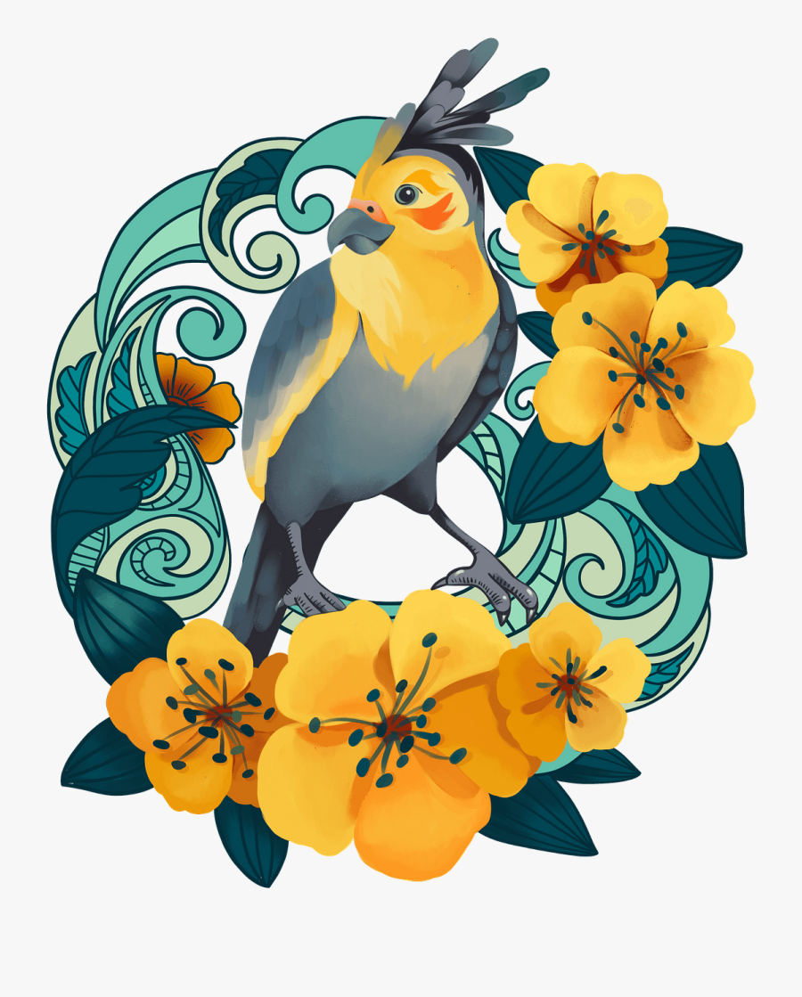 Cockatiel, Transparent Clipart