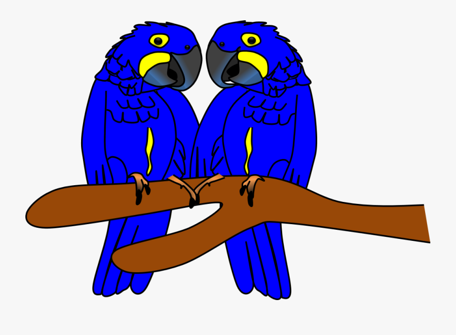 Transparent Zoo Clipart Png - Arara Azul Desenho Png, Transparent Clipart