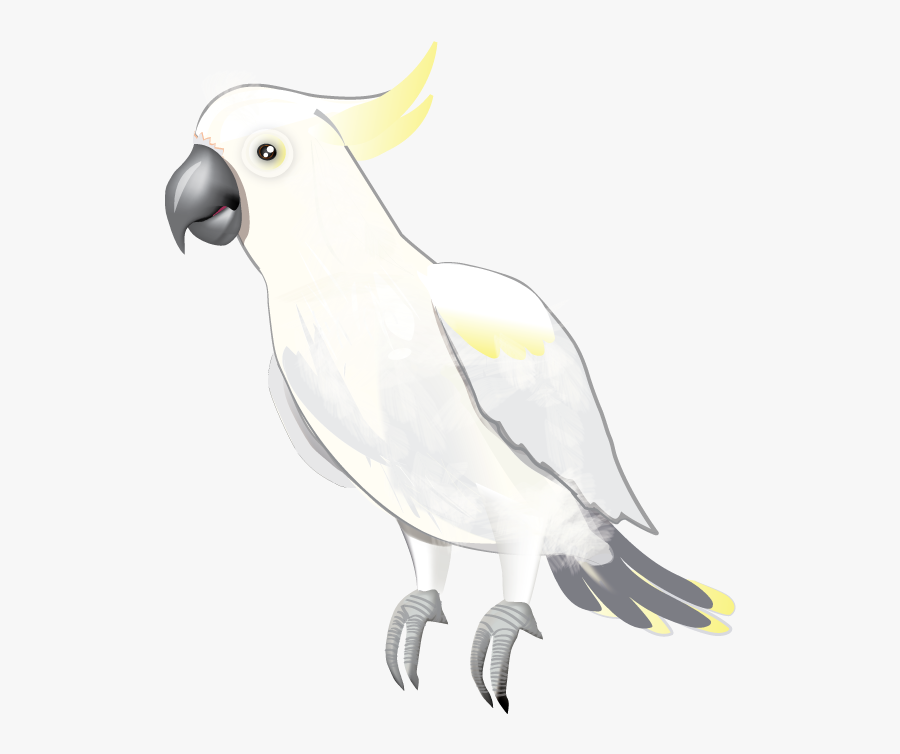 Parrot Clipart Cockatoo - Sulphur-crested Cockatoo, Transparent Clipart