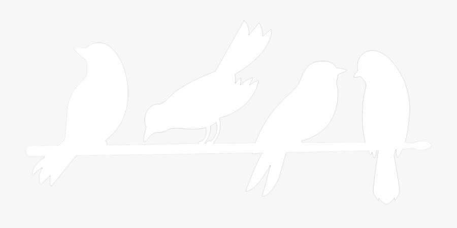 My Friend The Bird - Parrot, Transparent Clipart