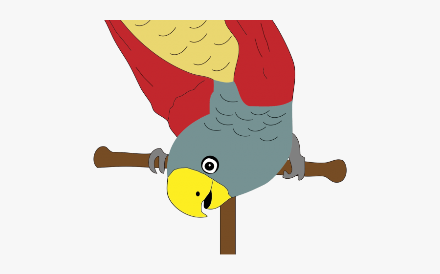 Parrot, Transparent Clipart