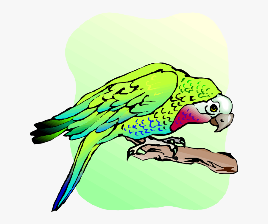 Budgie, Transparent Clipart