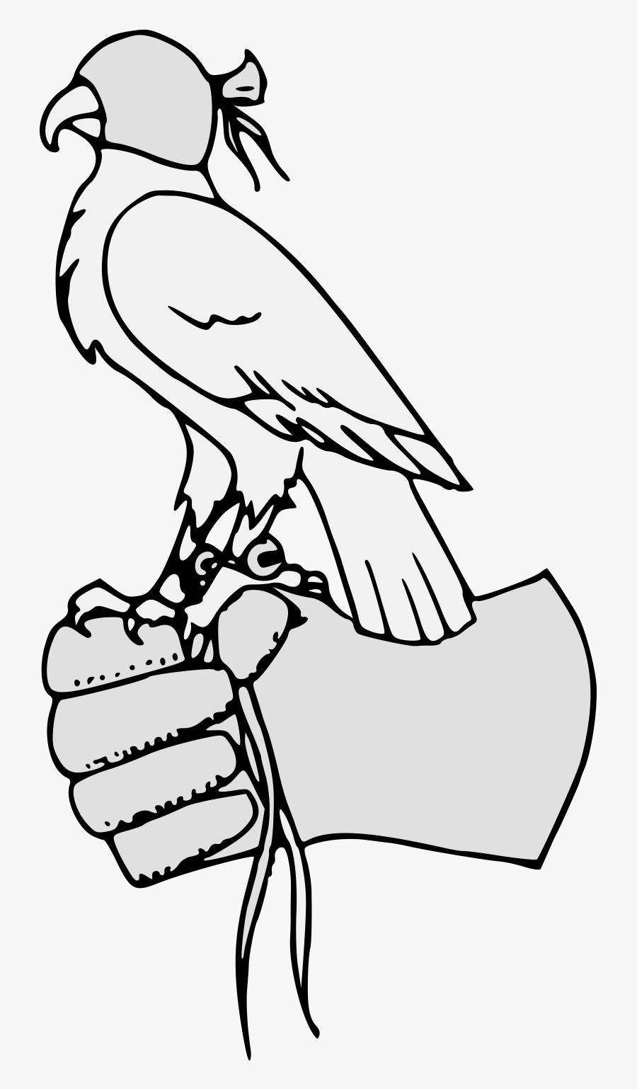 Parrot Clipart , Png Download - Sketch, Transparent Clipart