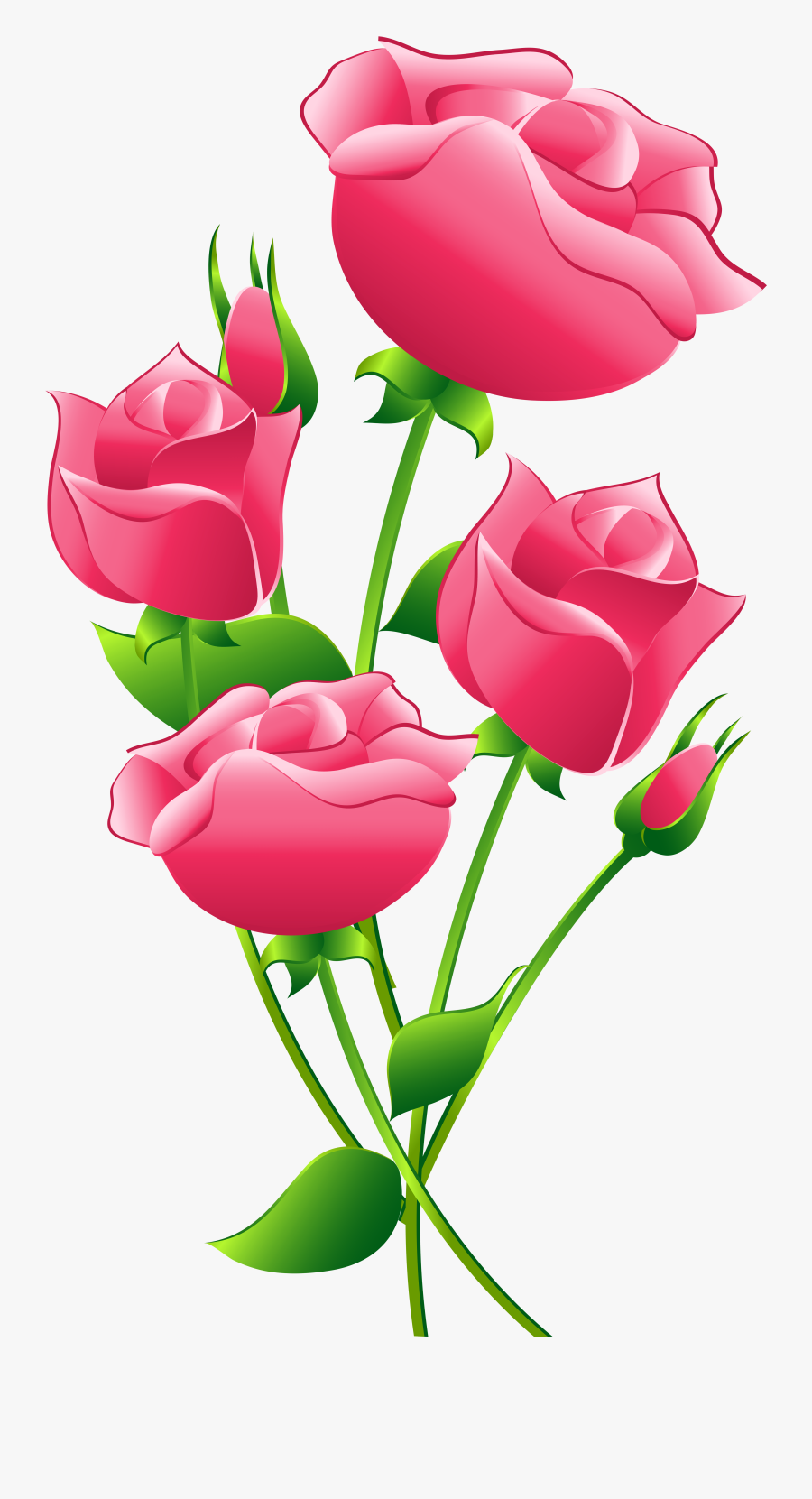 Rose Images, Transparent Clipart