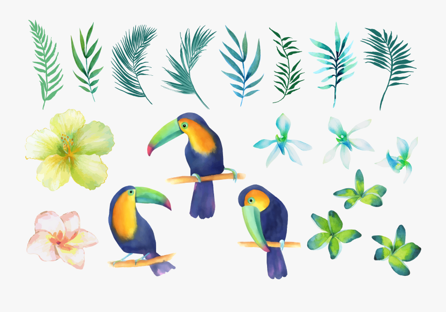 Bird In Tree Clipart - Watercolor Painting, Transparent Clipart