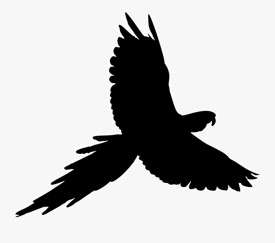 Transparent Parrot Clipart - Parrot Silhouette Clipart, Transparent Clipart