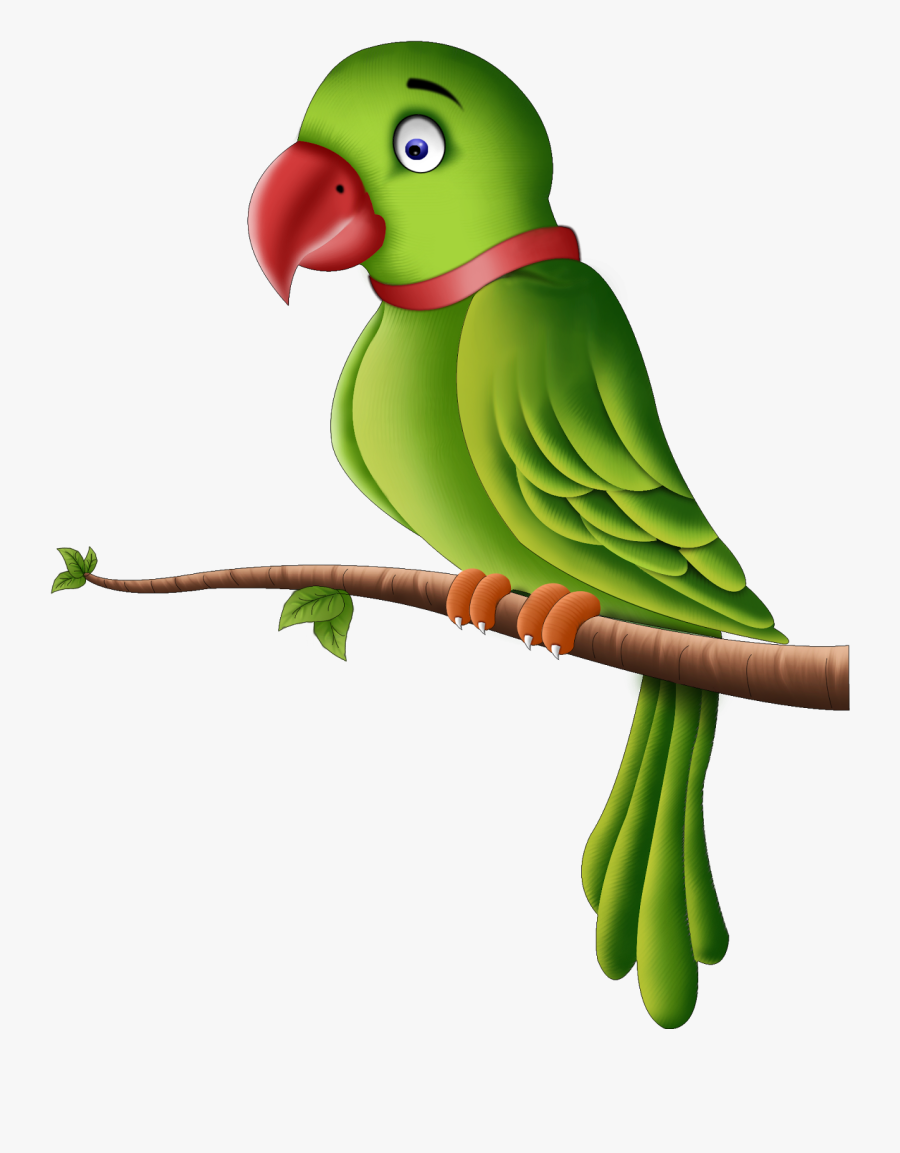 Clip Art Images Of Parrots Cartoon Green Parrot Parrot Free