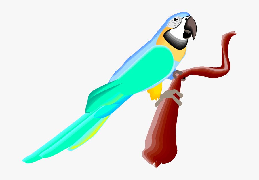 True Parrot, Transparent Clipart
