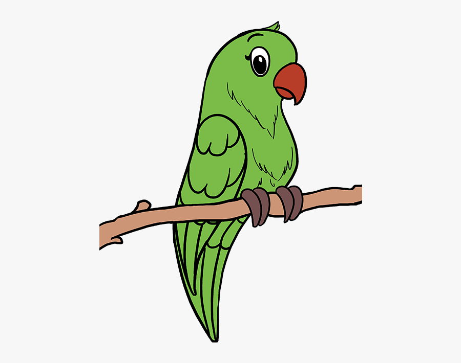 How To Draw Parrot - Easy Drawings Of Parrot, Transparent Clipart