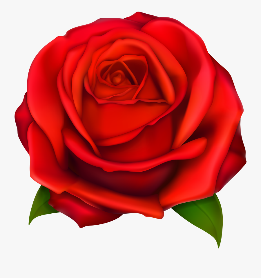 Image Of Red Rose 2 Red Roses Clipart - Clip Art Rose, Transparent Clipart