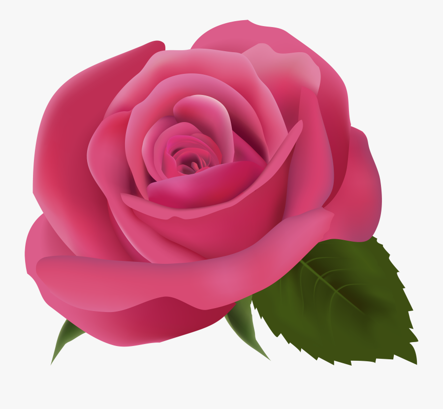 Pink Rose Png Clipart Image - Pink Rose Transparent Background, Transparent Clipart