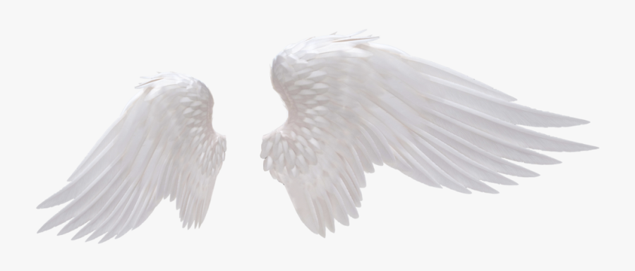 Angel Wing Png Images - Transparent Background Angel Wings Png, Transparent Clipart