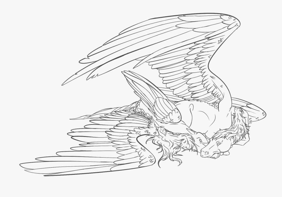 Sketch, Transparent Clipart