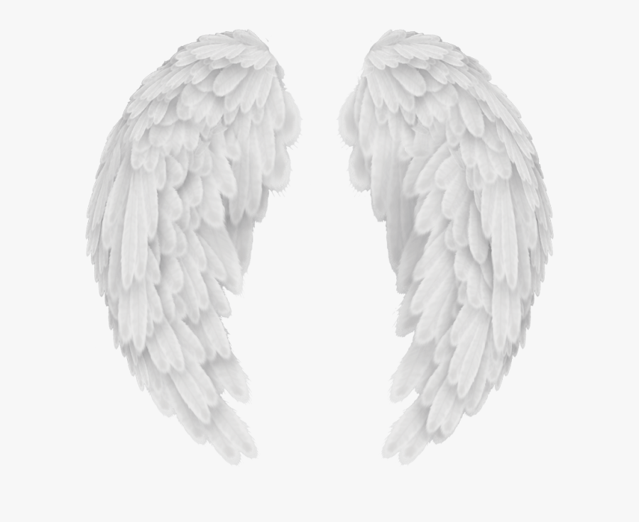 Transparent Angel Wings And Halo Clipart - Transparent Background Angel Wings Png Hd, Transparent Clipart