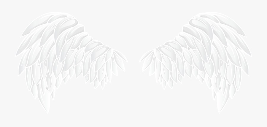 Black And White Library Wings Clipart Png - White Wings Png, Transparent Clipart