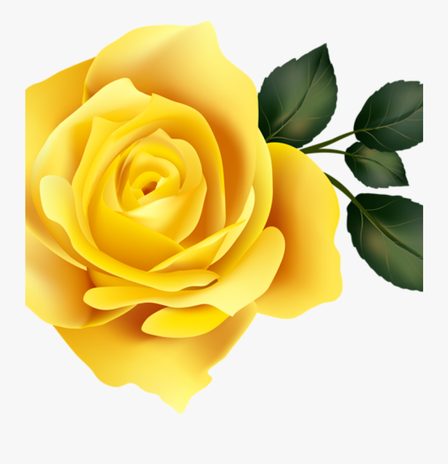 Yellow Roses Clipart Transparent Background , Transparent - Yellow Roses Clipart Transparent Background, Transparent Clipart