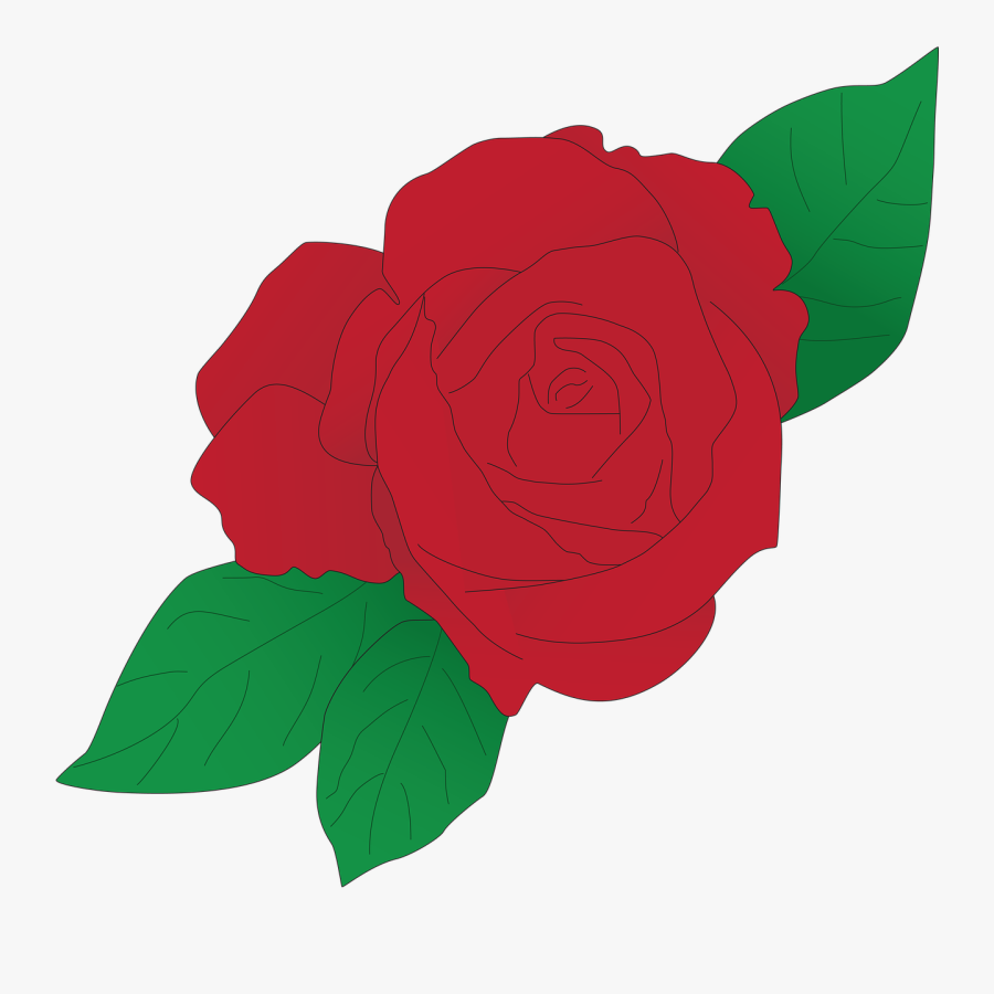 Garden Roses Clipart , Png Download - ช่อ กุหลาบ วัน วาเลนไทน์ Png, Transparent Clipart