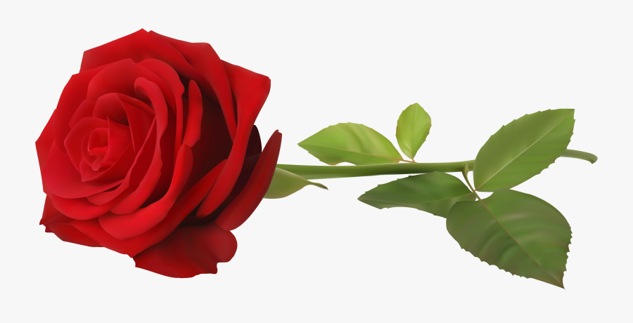 Red Rose With Stem Transparent Png Clip Art Image - Transparent Background Red Rose, Transparent Clipart