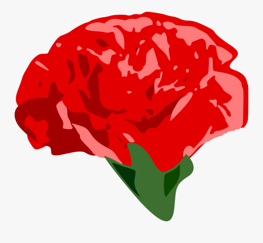 Plant,flower,garden Roses - Rose, Transparent Clipart