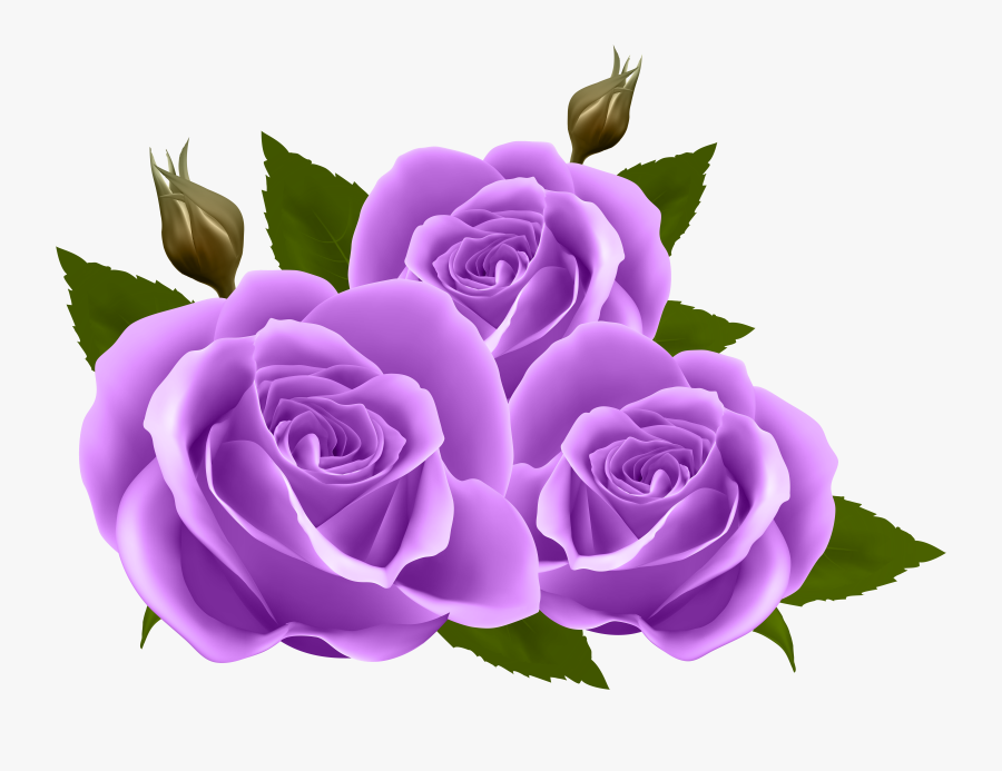 Roses Png Clip Art - Birthday Wish For Friend In English, Transparent Clipart