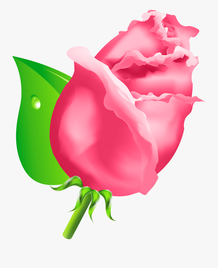 Rose Bud Png Clipart - Bud Clipart Png, Transparent Clipart