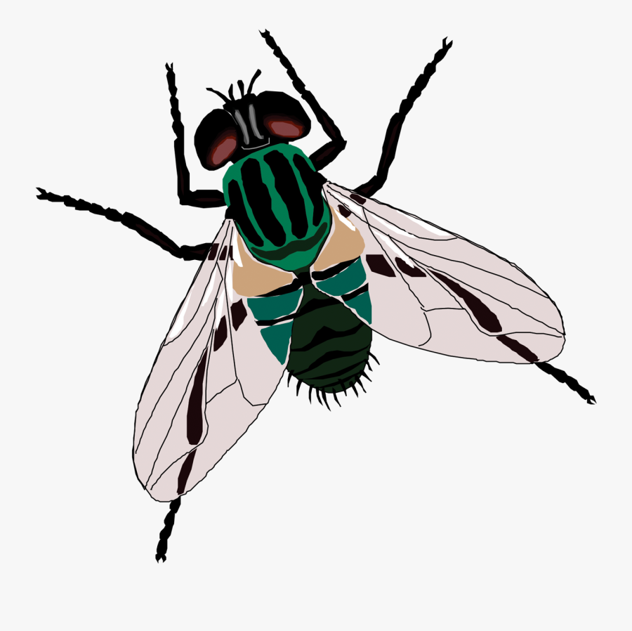 Fly Sticker Toilet Clip Art - Fly Jpg, Transparent Clipart
