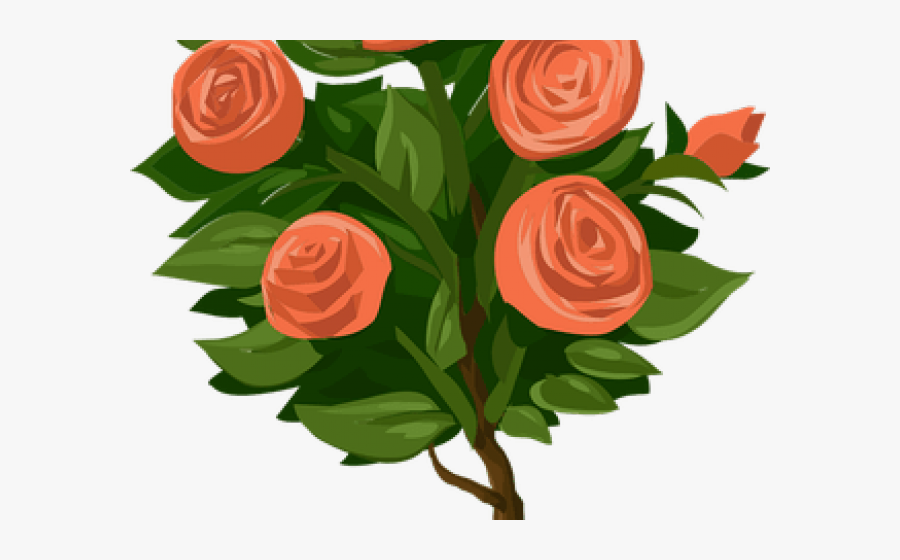 Rose Plant In Clipart, Transparent Clipart
