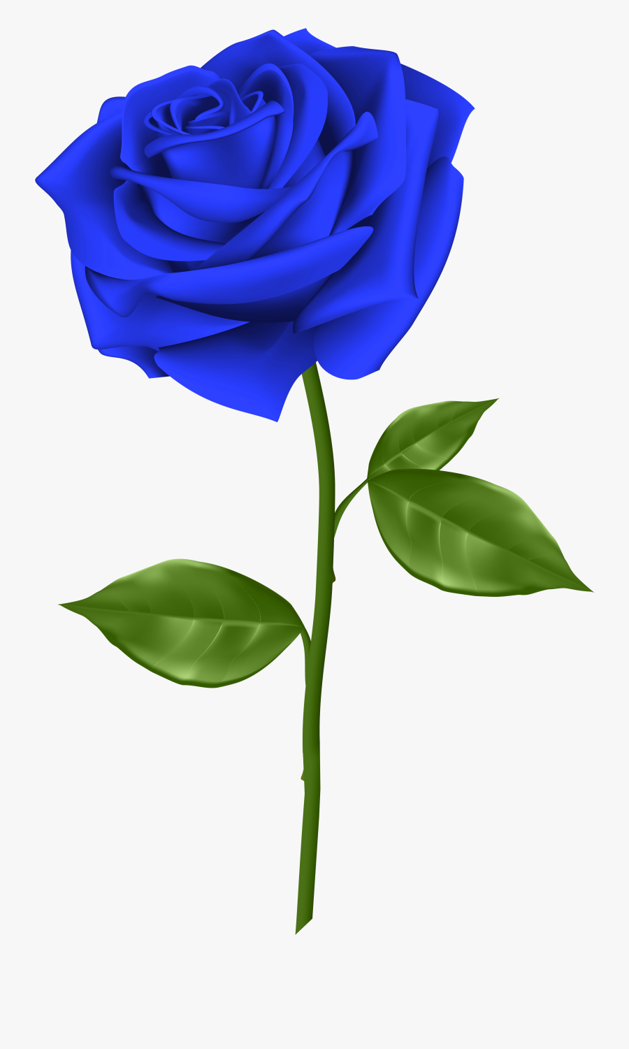 Rose Clipart Blue - Blue Rose Transparent Background, Transparent Clipart